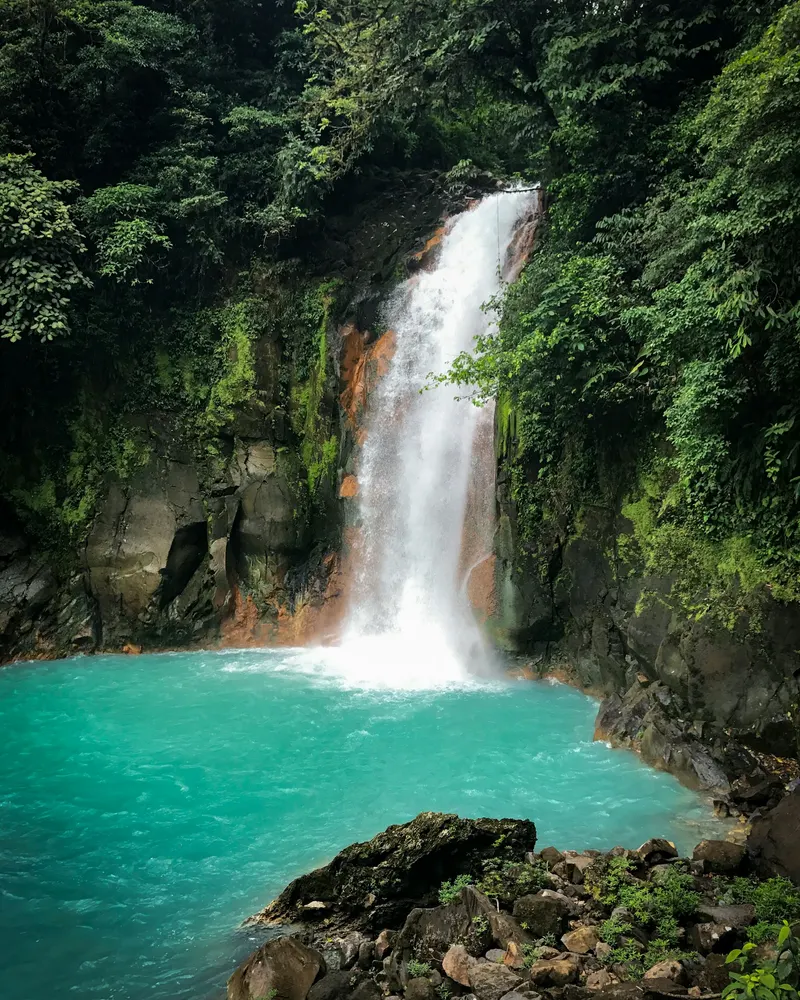 waterfalls in the middle of the forest during daytime