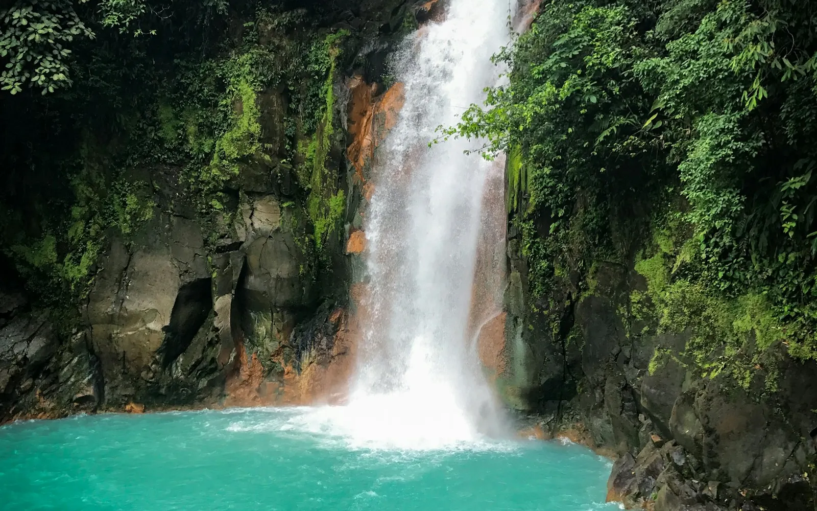 waterfalls in the middle of the forest during daytime