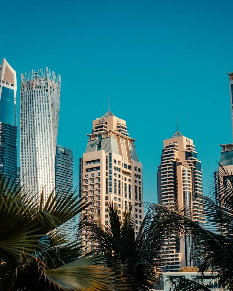 Dubai Marina skyline with palm trees