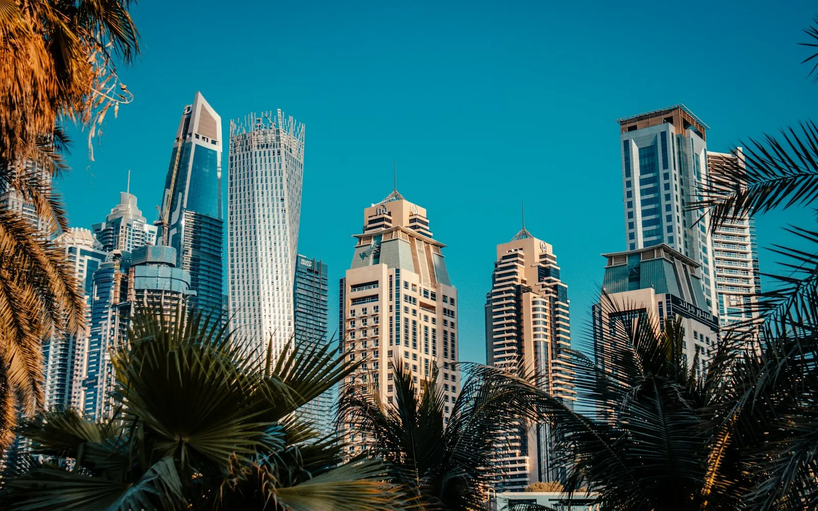 Dubai Marina skyline with palm trees