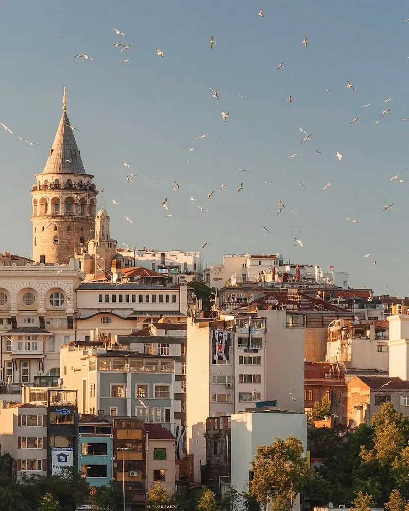The Galata Tower rising above the cityscape of Istanbul with birds flying overhead