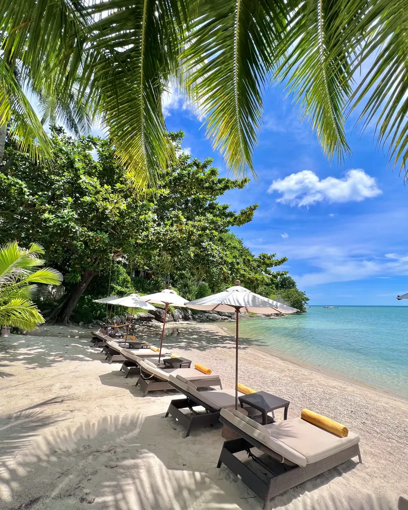 Sandy beach with loungers and umbrellas on Koh Samui, Thailand