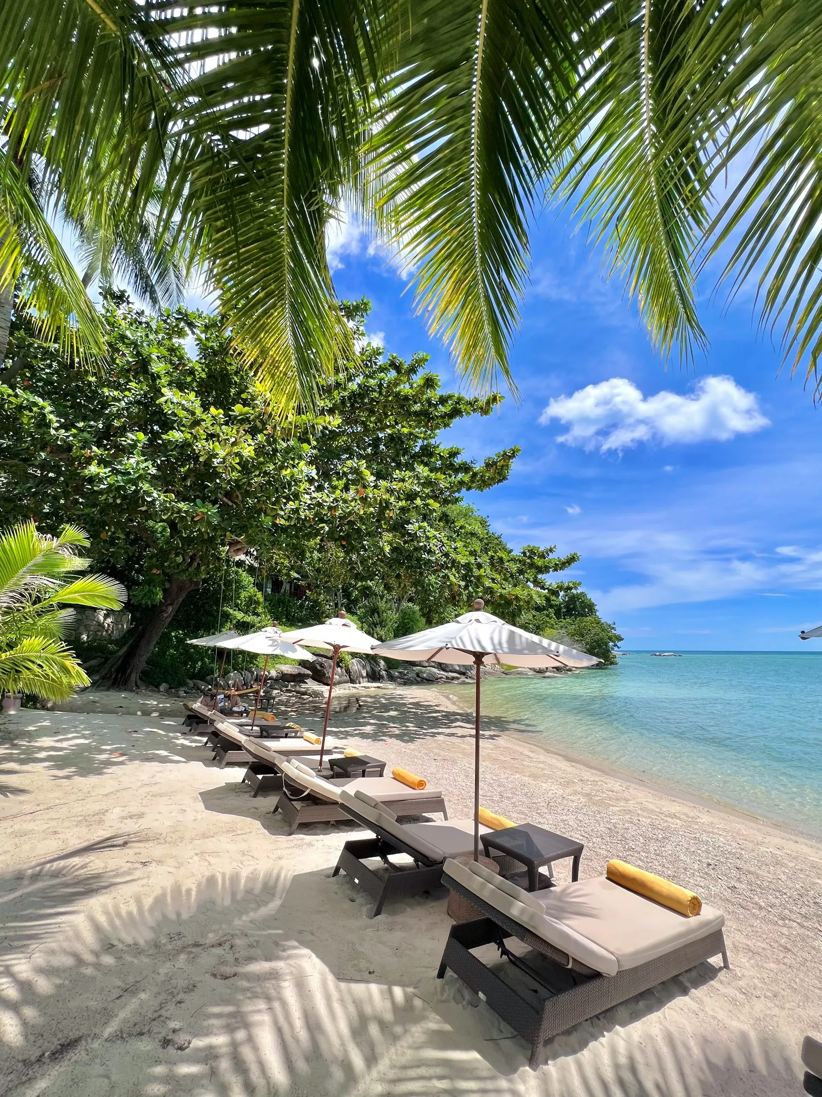 Sandy beach with loungers and umbrellas on Koh Samui, Thailand
