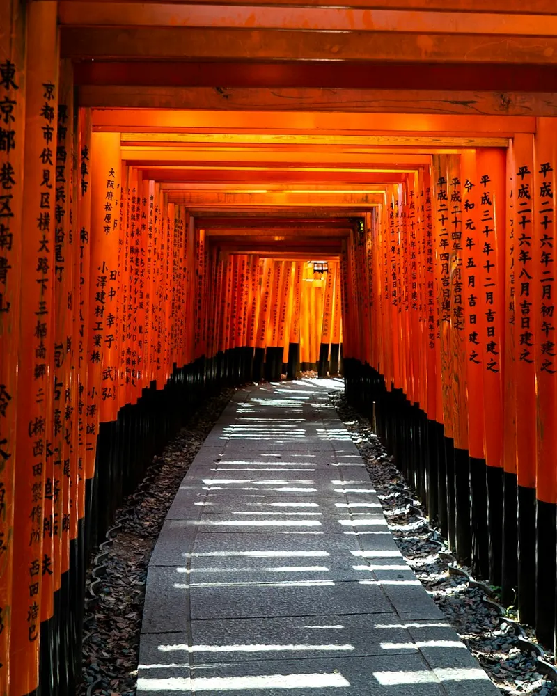 A stone path through a tunnel of orange torii gates in Kyoto, Japan