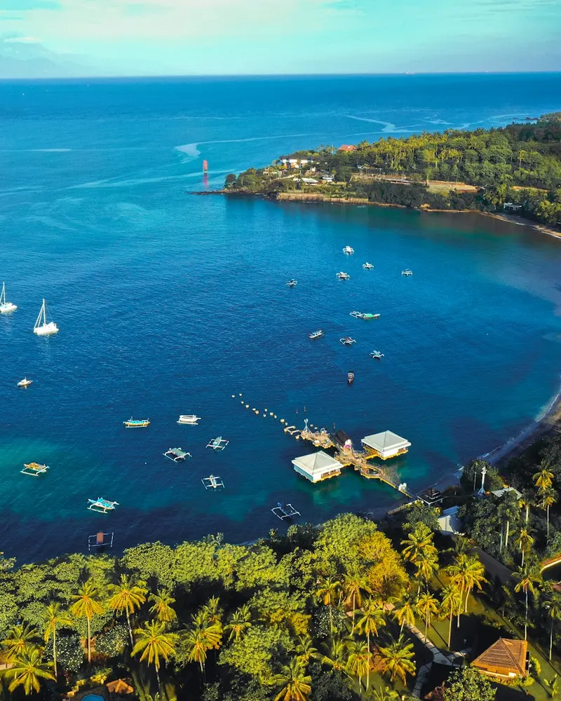 aerial view of green trees and body of water during daytime