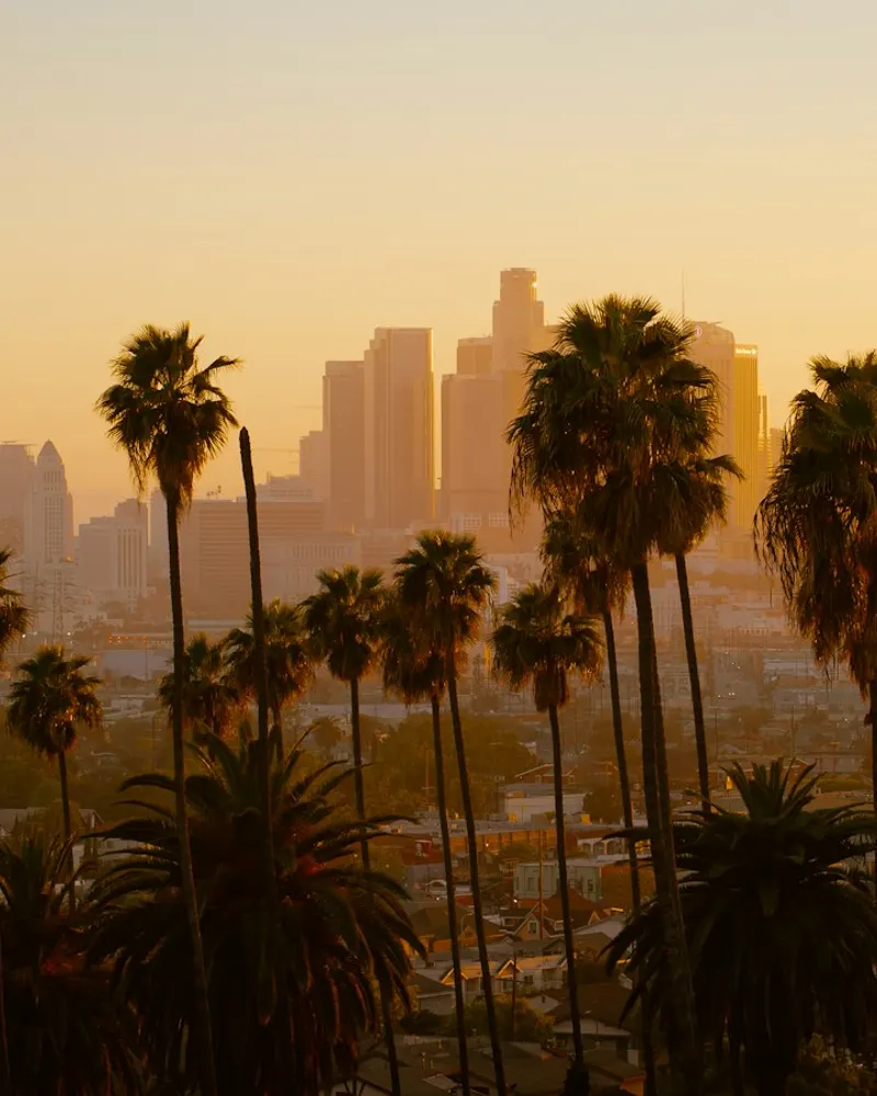 Palm trees silhouetted against the Los Angeles skyline during the golden hour