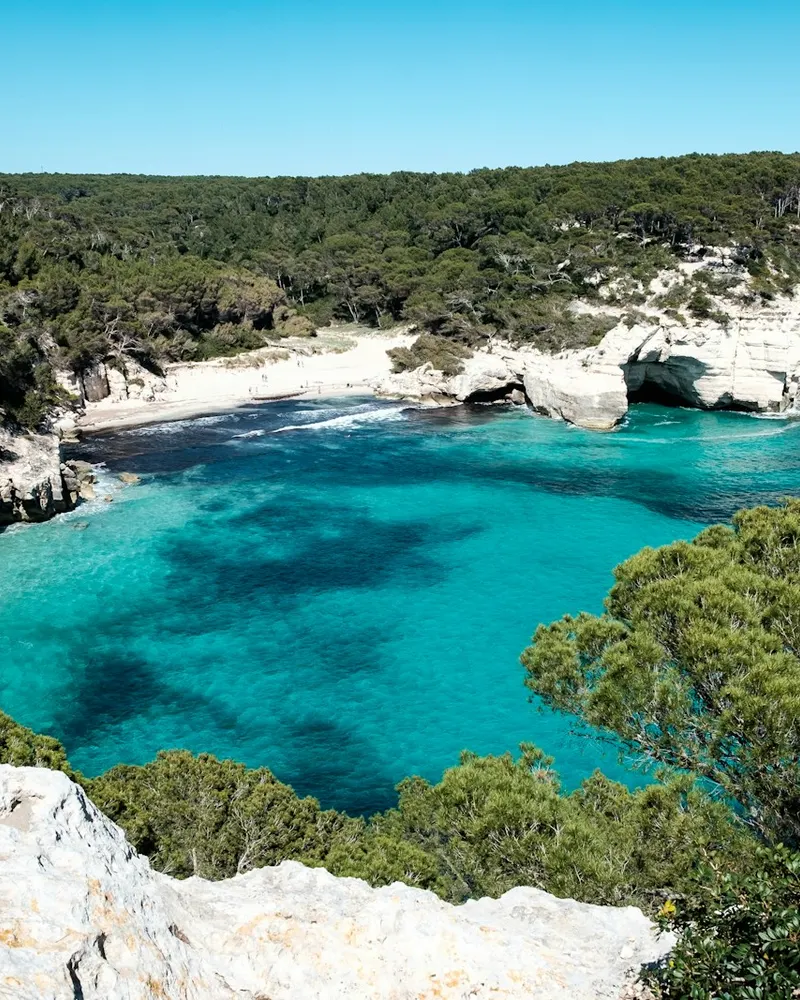 a view of a body of water surrounded by trees