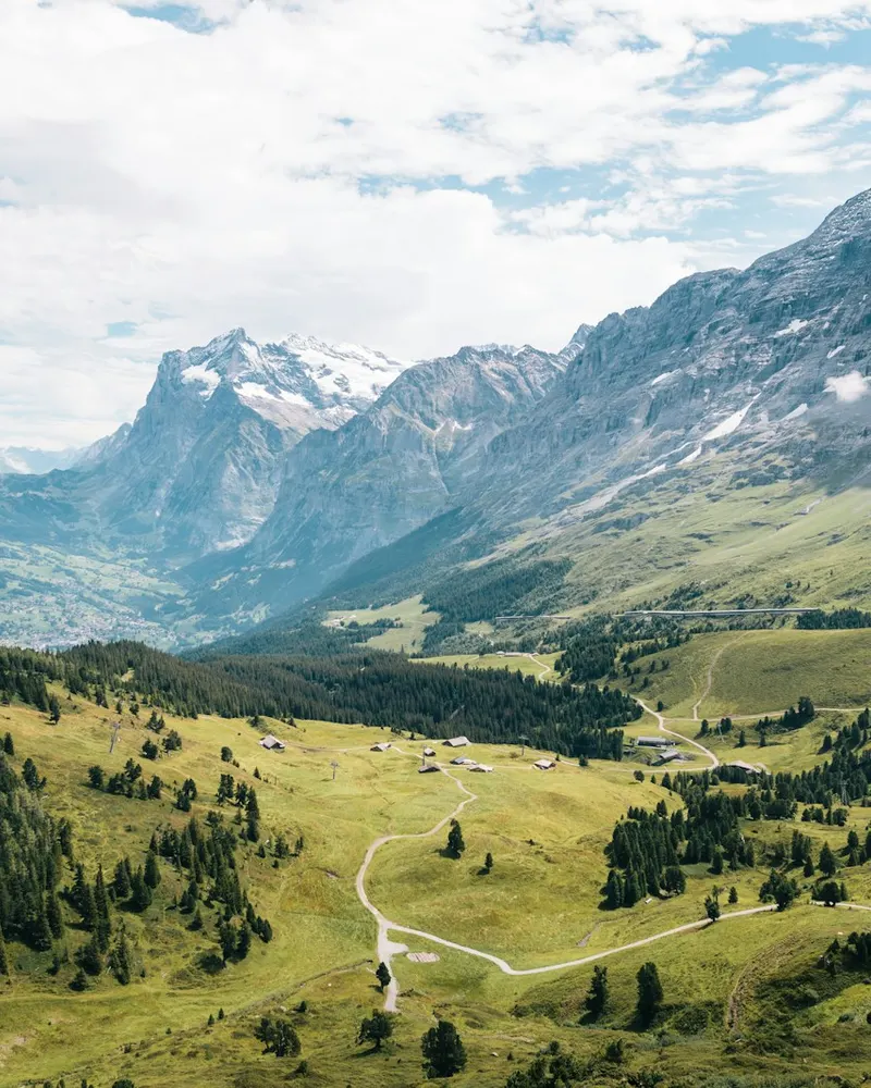 mountain filled with trees during daytime